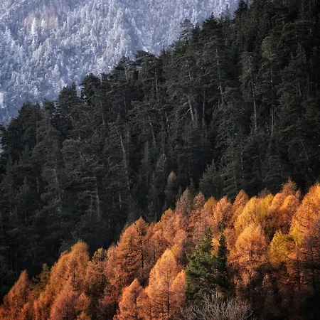 Tir Longe בקתה *