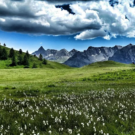 Tir Longe צ'זנה טורינזה