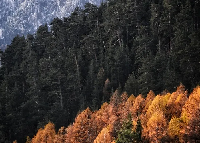 Tir Longe Horská chata *