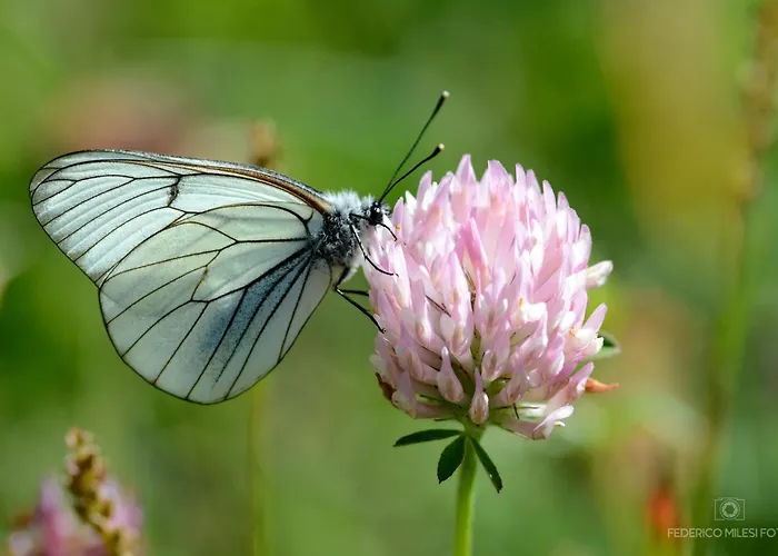 Horská chata Tir Longe Cesana Torinese